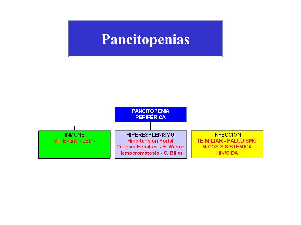 Pancitopenias