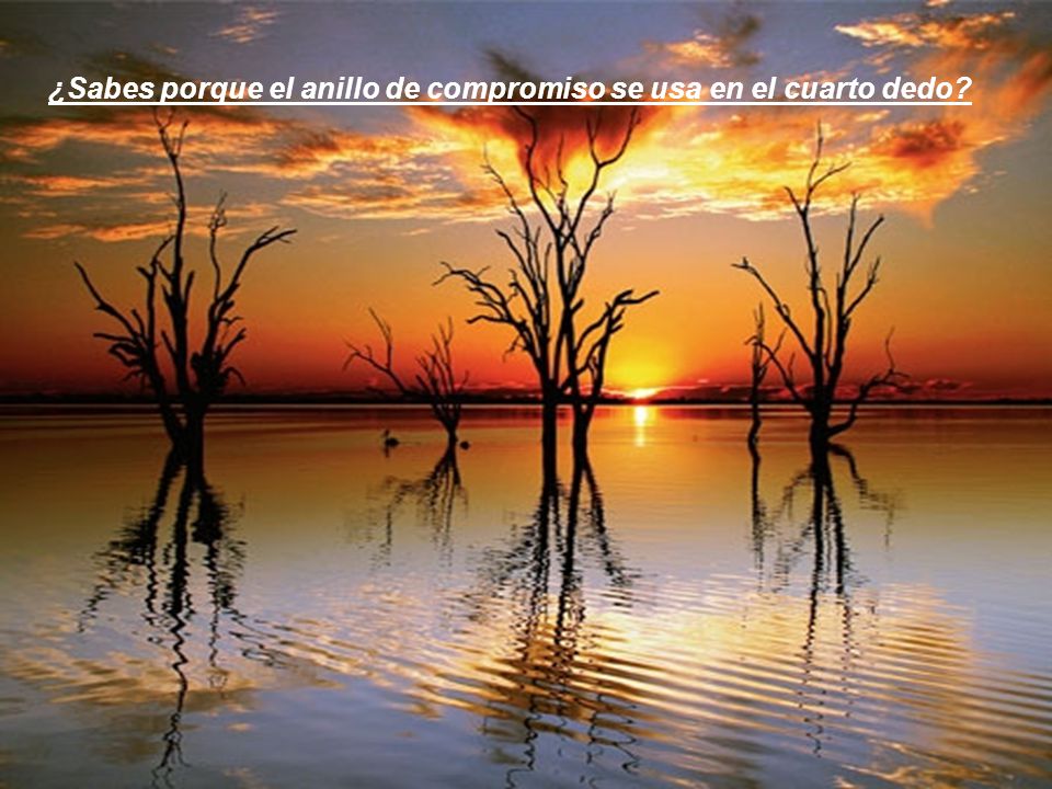 ¿Sabes porque el anillo de compromiso se usa en el cuarto dedo