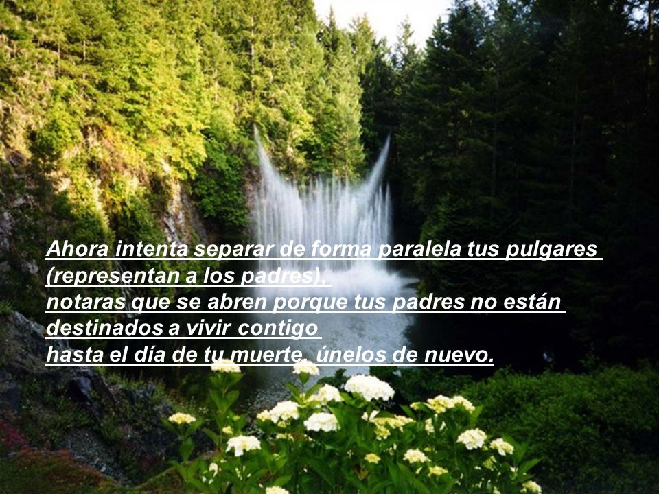 Ahora intenta separar de forma paralela tus pulgares