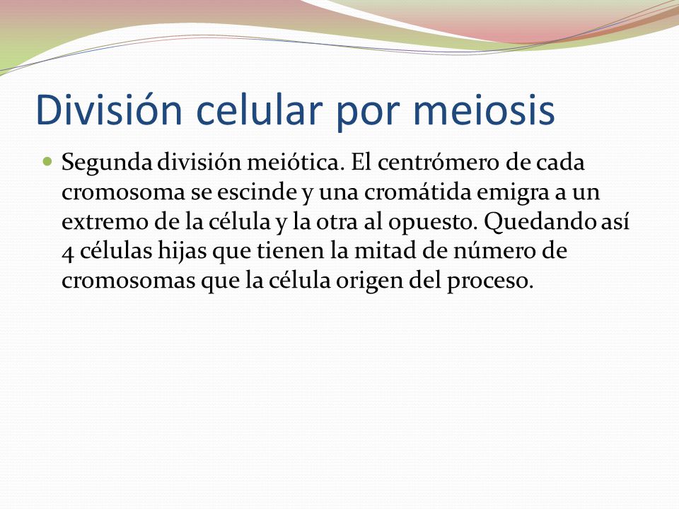 División celular por meiosis