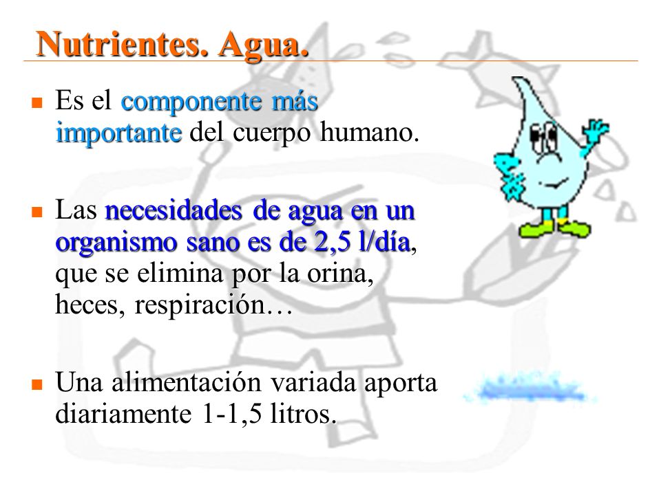 Nutrientes. Agua. Es el componente más importante del cuerpo humano.