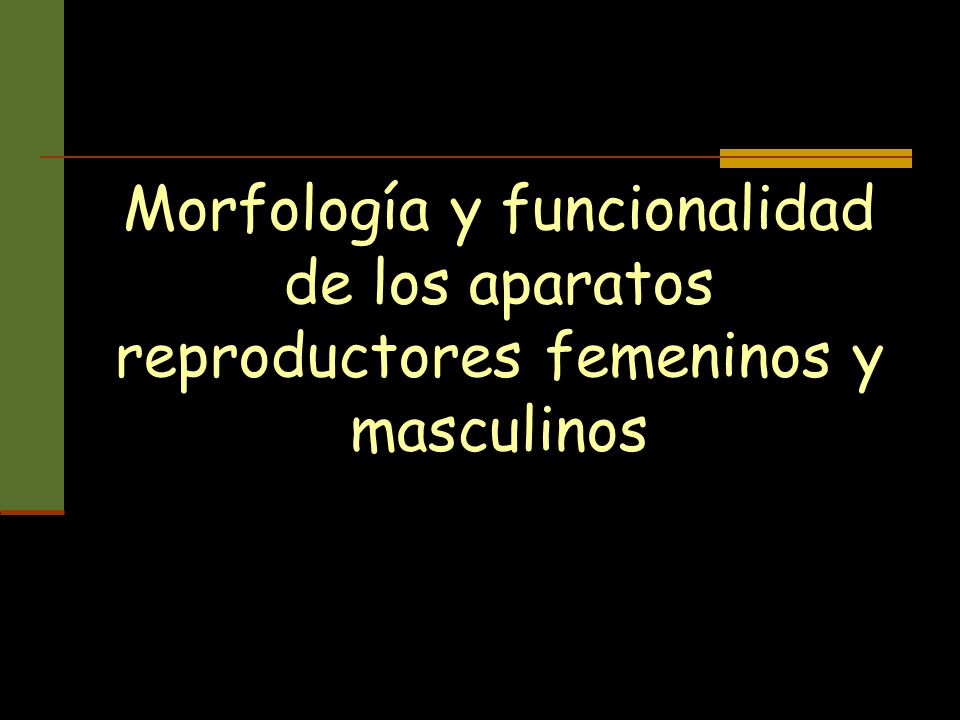Morfología y funcionalidad de los aparatos reproductores femeninos y masculinos