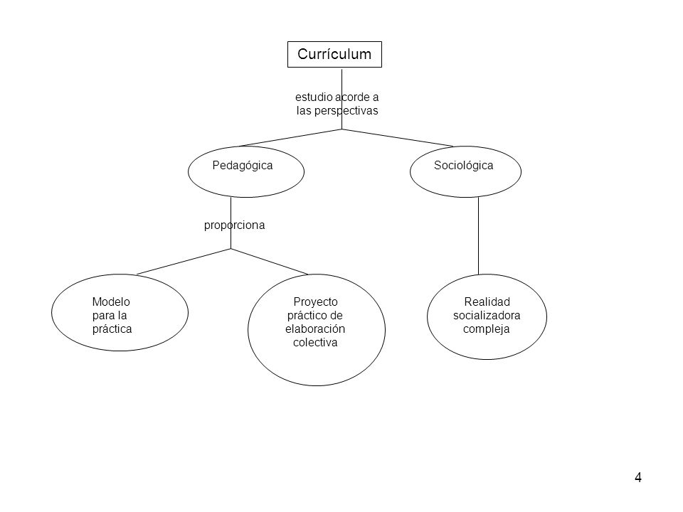 Currículum estudio acorde a las perspectivas Pedagógica Sociológica