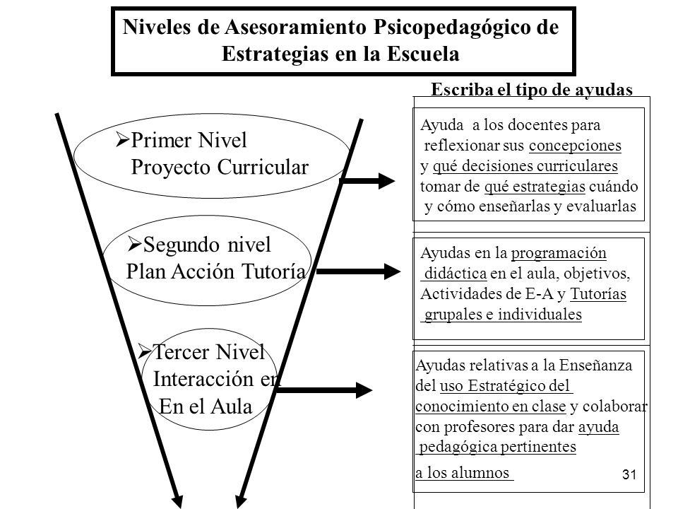 Niveles de Asesoramiento Psicopedagógico de Estrategias en la Escuela