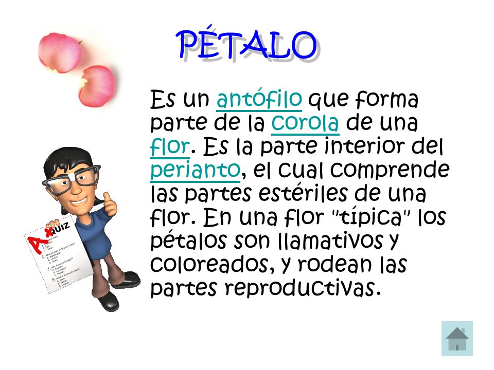 LAS PARTES DE LA FLOR. - ppt descargar LAS PARTES DE LA FLOR. - ppt descargar
