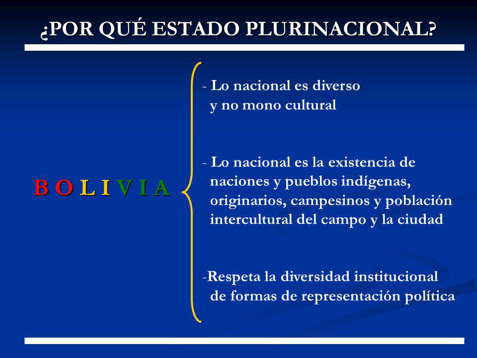 ¿POR QUÉ ESTADO PLURINACIONAL