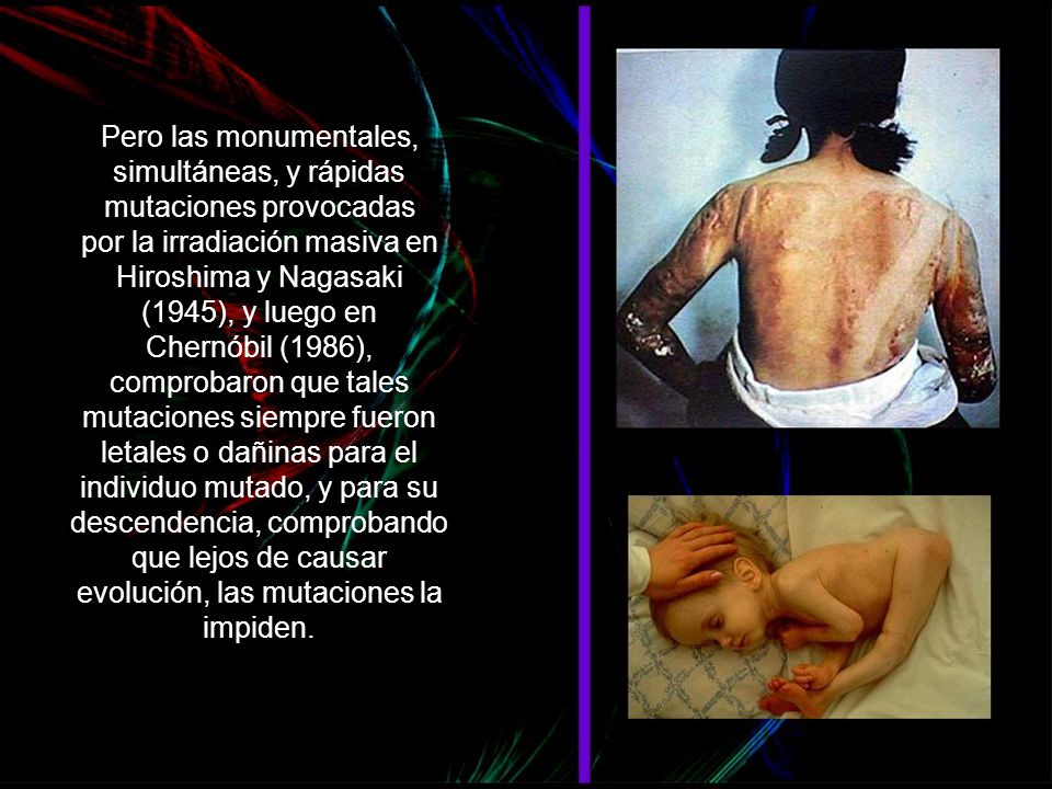 Pero las monumentales, simultáneas, y rápidas mutaciones provocadas por la irradiación masiva en Hiroshima y Nagasaki (1945), y luego en Chernóbil (1986), comprobaron que tales mutaciones siempre fueron letales o dañinas para el individuo mutado, y para su descendencia, comprobando que lejos de causar evolución, las mutaciones la impiden.