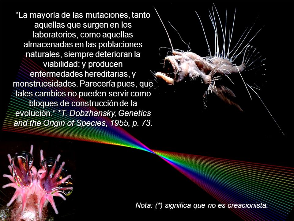 La mayoría de las mutaciones, tanto aquellas que surgen en los laboratorios, como aquellas almacenadas en las poblaciones naturales, siempre deterioran la viabilidad; y producen enfermedades hereditarias, y monstruosidades. Parecería pues, que tales cambios no pueden servir como bloques de construcción de la evolución. *T. Dobzhansky, Genetics and the Origin of Species, 1955, p. 73.