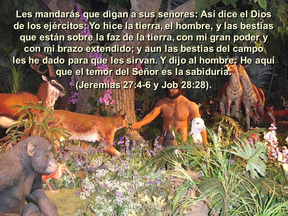 Les mandarás que digan a sus señores: Así dice el Dios de los ejércitos: Yo hice la tierra, el hombre, y las bestias que están sobre la faz de la tierra, con mi gran poder y con mi brazo extendido; y aun las bestias del campo les he dado para que les sirvan. Y dijo al hombre: He aquí que el temor del Señor es la sabiduría.