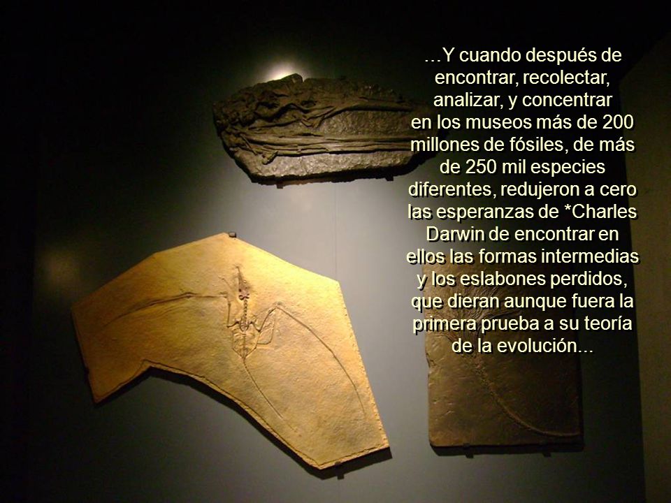 …Y cuando después de encontrar, recolectar, analizar, y concentrar en los museos más de 200 millones de fósiles, de más de 250 mil especies diferentes, redujeron a cero las esperanzas de *Charles Darwin de encontrar en ellos las formas intermedias y los eslabones perdidos, que dieran aunque fuera la primera prueba a su teoría de la evolución...