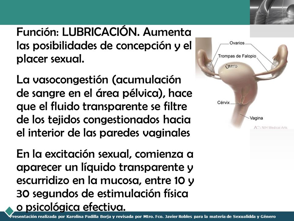 Función: LUBRICACIÓN. Aumenta las posibilidades de concepción y el placer sexual.