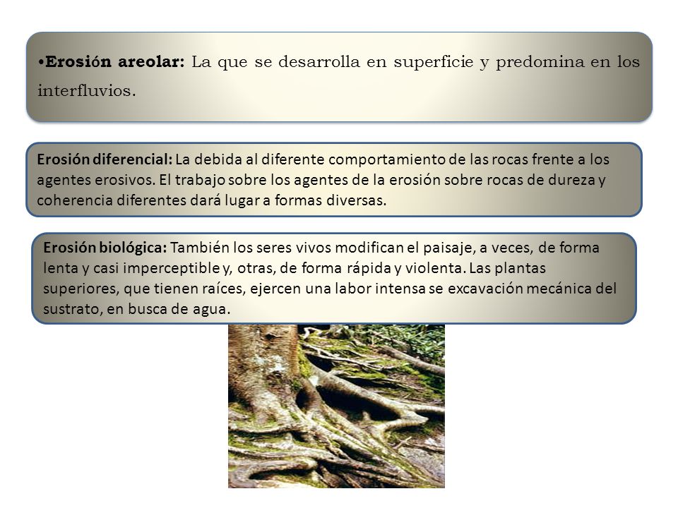 Erosión areolar: La que se desarrolla en superficie y predomina en los interfluvios.