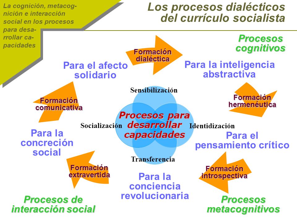 Los procesos dialécticos del currículo socialista