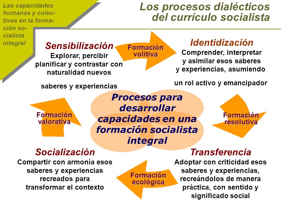 Los procesos dialécticos del currículo socialista