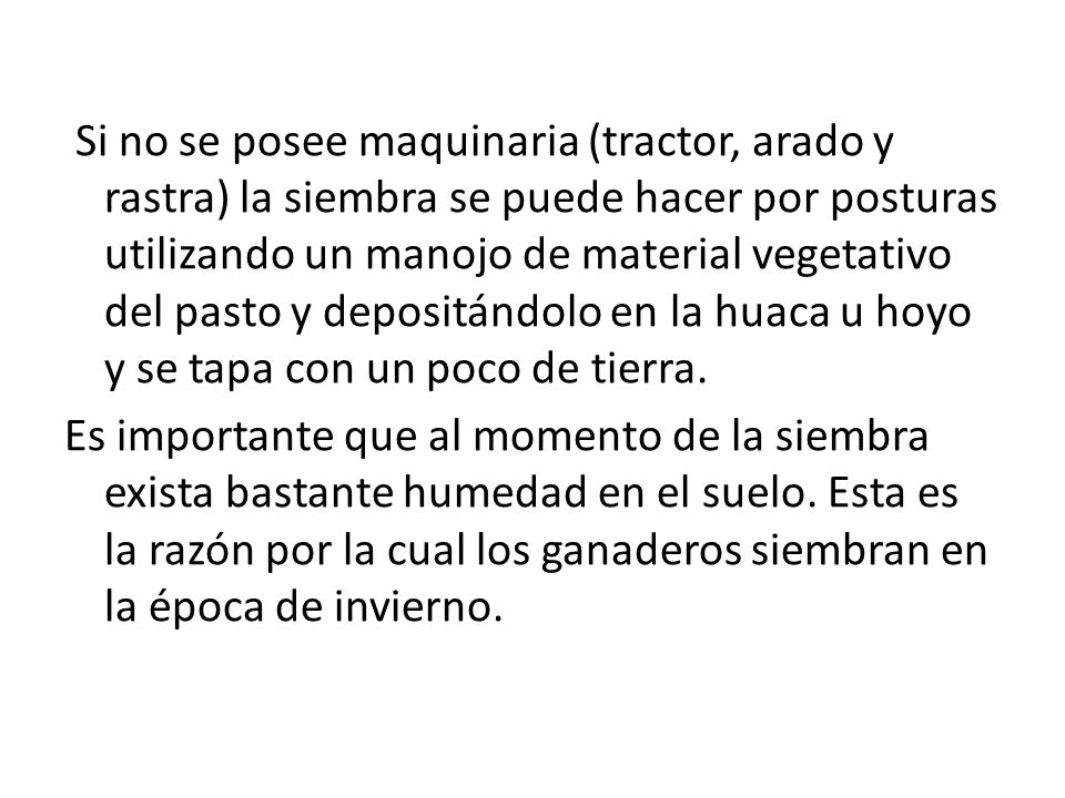 Si no se posee maquinaria (tractor, arado y rastra) la siembra se puede hacer por posturas utilizando un manojo de material vegetativo del pasto y depositándolo en la huaca u hoyo y se tapa con un poco de tierra.