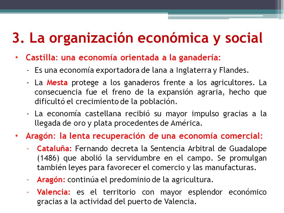 3. La organización económica y social