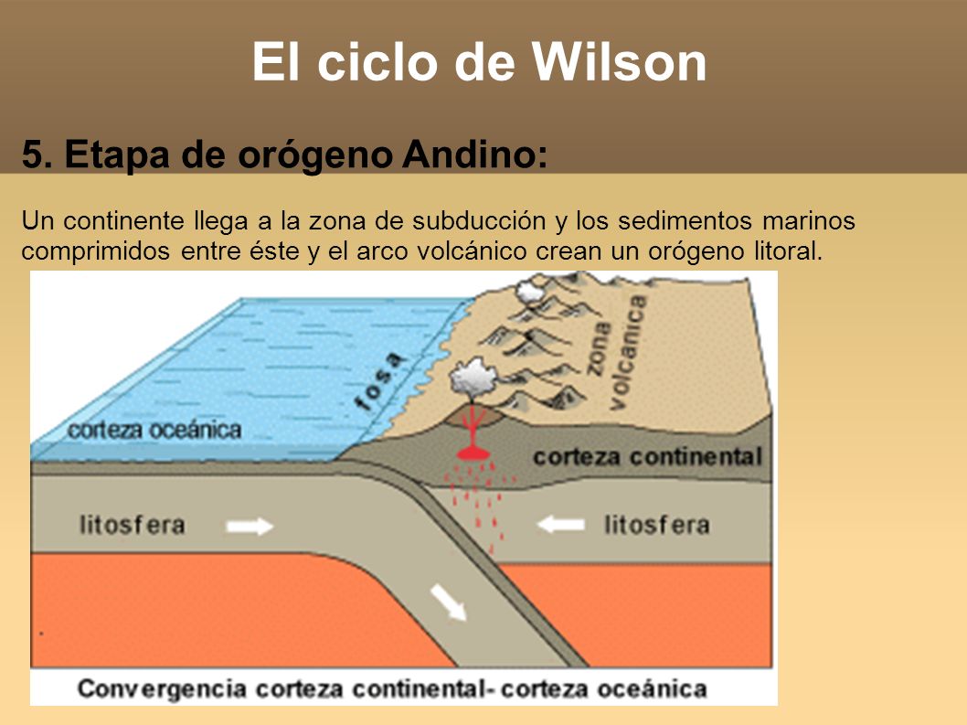 El ciclo de Wilson 5. Etapa de orógeno Andino: