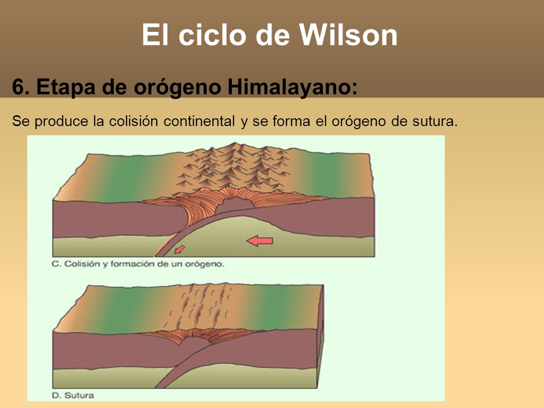 El ciclo de Wilson 6. Etapa de orógeno Himalayano: