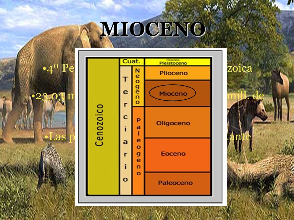 MIOCENO 4º Período geológico de la Era Cenozoica
