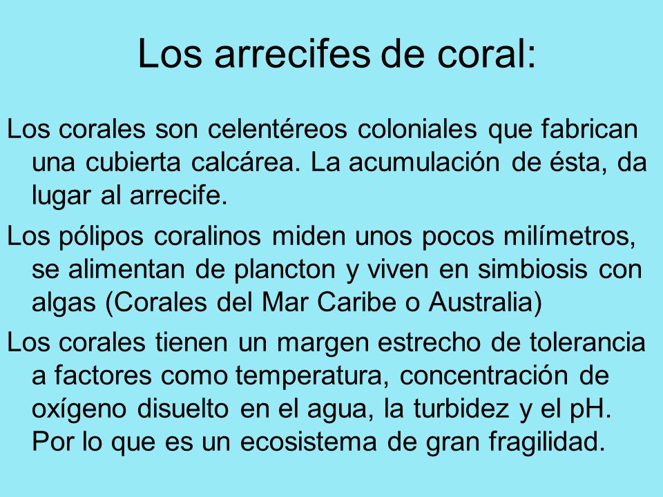 Los arrecifes de coral: