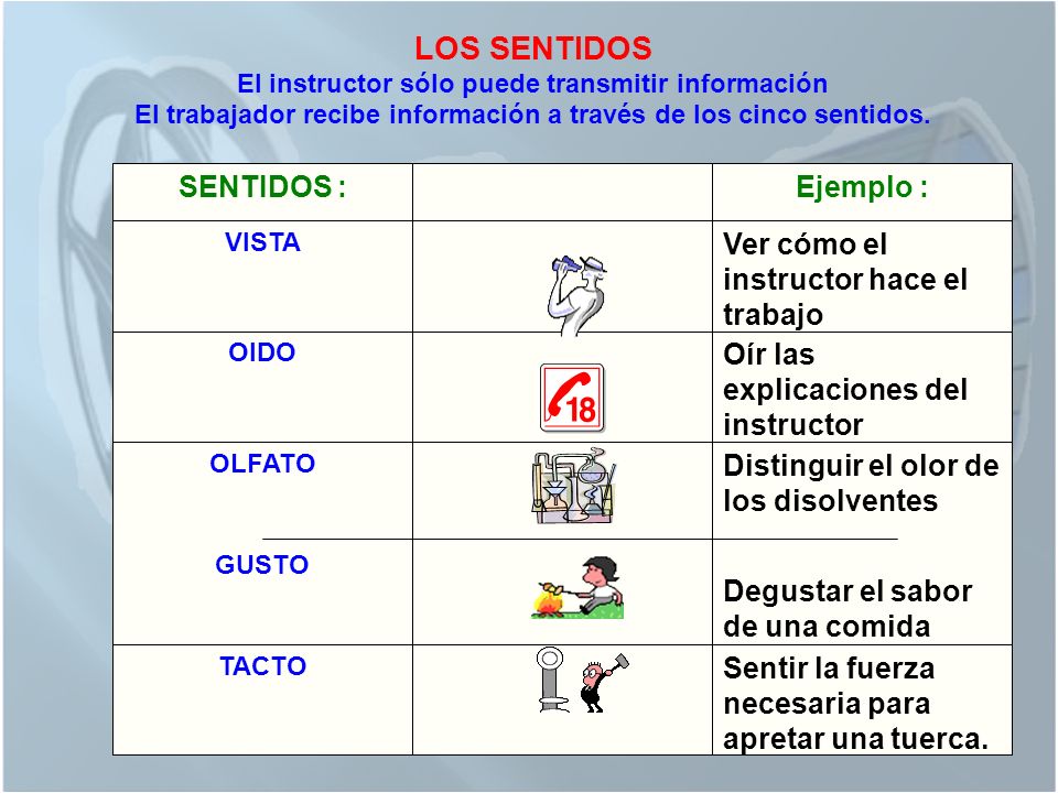 El trabajador recibe información a través de los cinco sentidos.