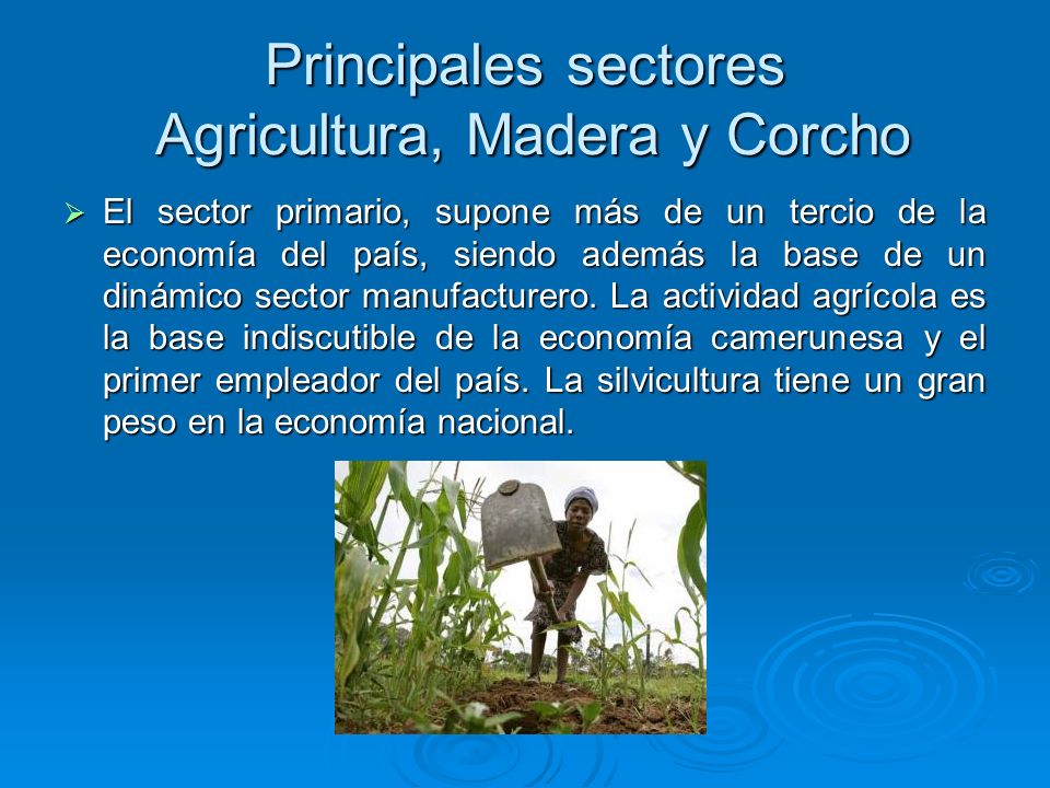 Principales sectores Agricultura, Madera y Corcho