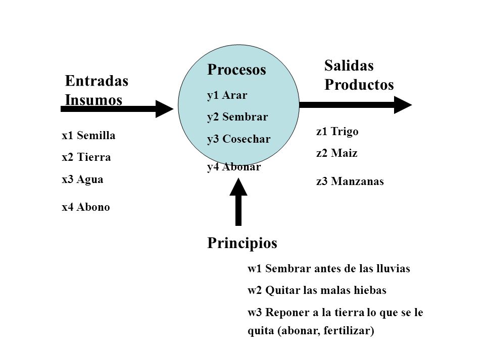 Salidas Procesos Productos Entradas Insumos Principios y1 Arar