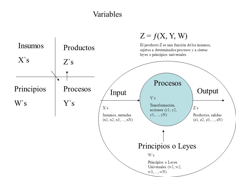 Variables Z = ƒ(X, Y, W) Insumos X`s Productos Z`s Procesos Principios