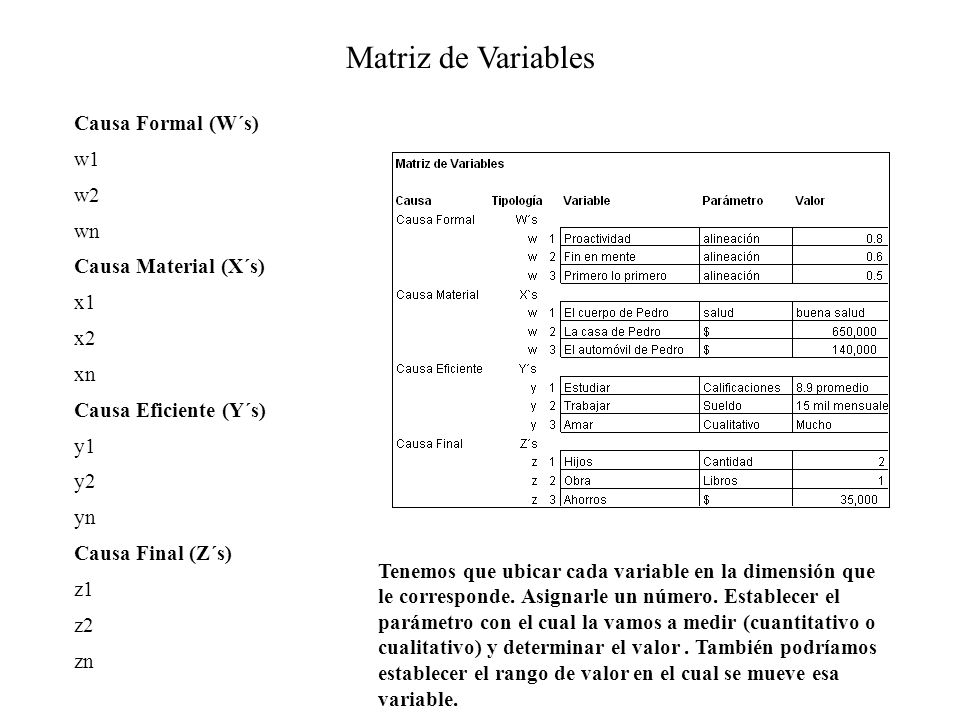 Matriz de Variables Causa Formal (W´s) w1 w2 wn Causa Material (X´s)