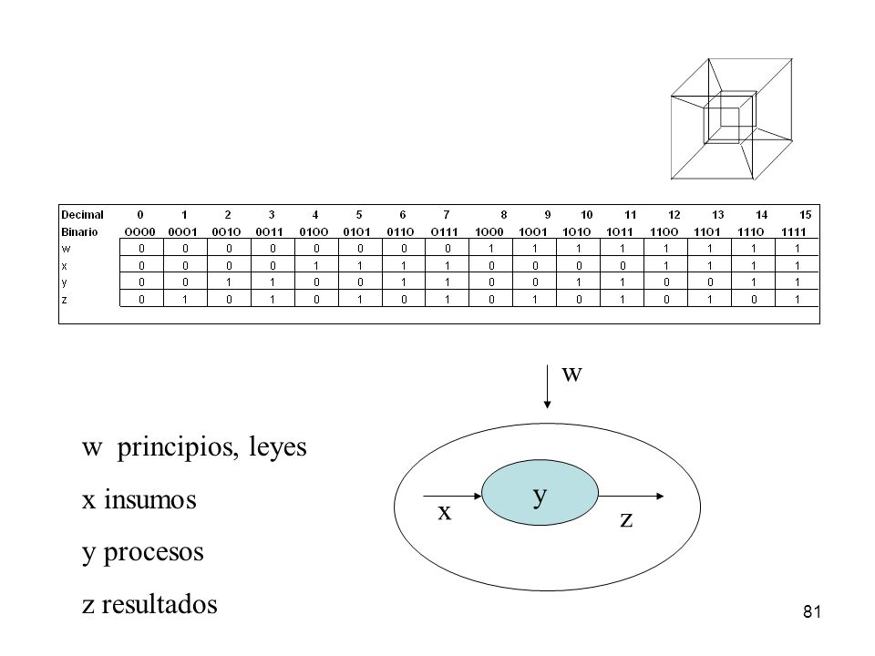 w w principios, leyes x insumos y procesos z resultados y x z