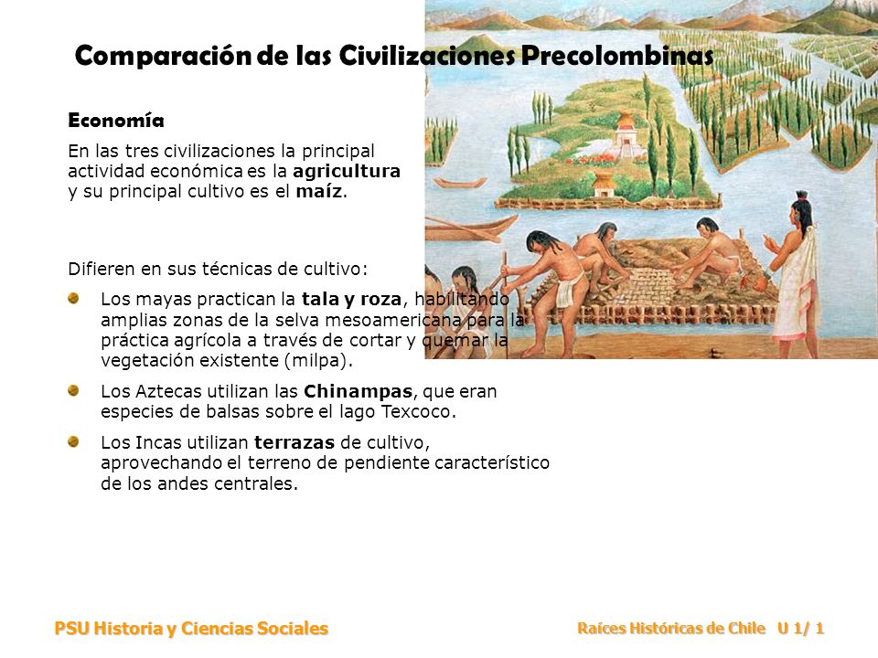 Comparación De Las Civilizaciones Precolombinas