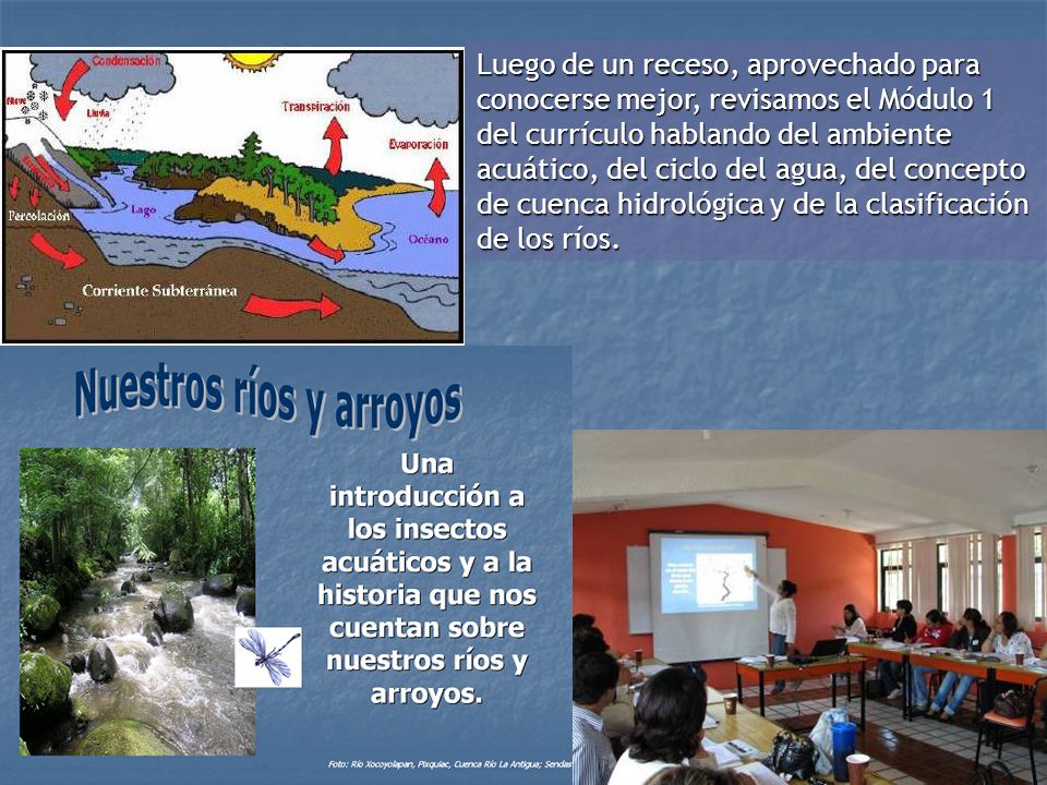 Luego de un receso, aprovechado para conocerse mejor, revisamos el Módulo 1 del currículo hablando del ambiente acuático, del ciclo del agua, del concepto de cuenca hidrológica y de la clasificación de los ríos.