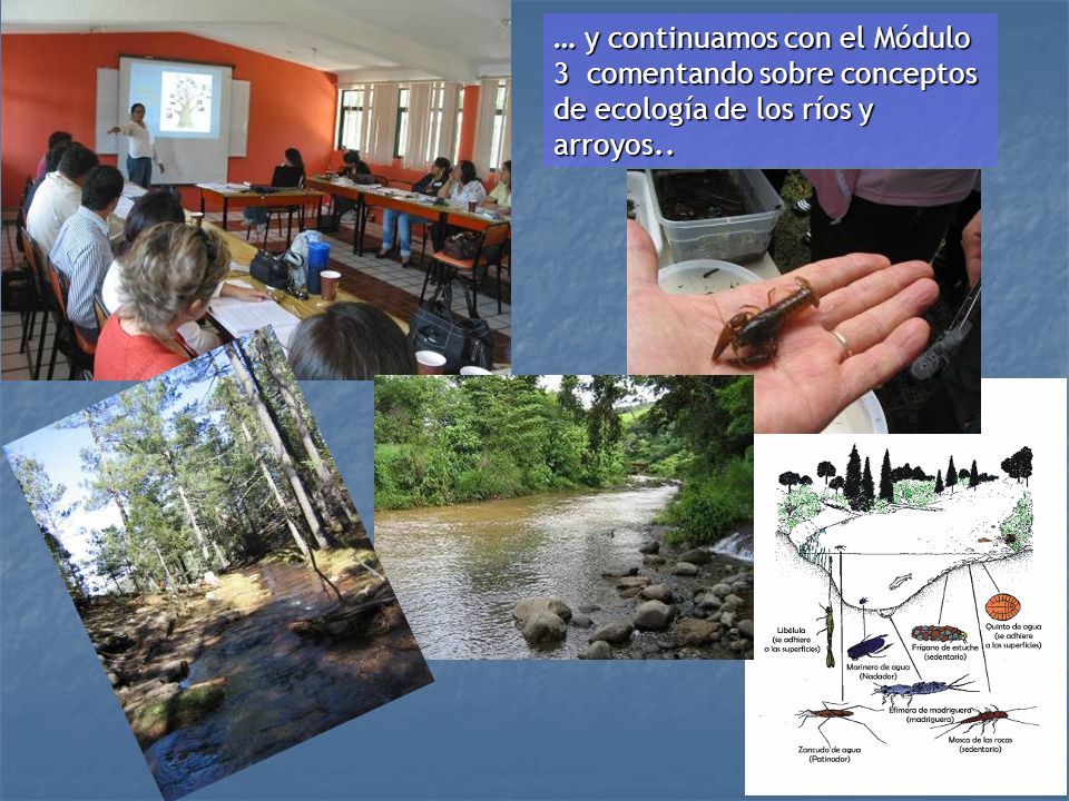 … y continuamos con el Módulo 3 comentando sobre conceptos de ecología de los ríos y arroyos..