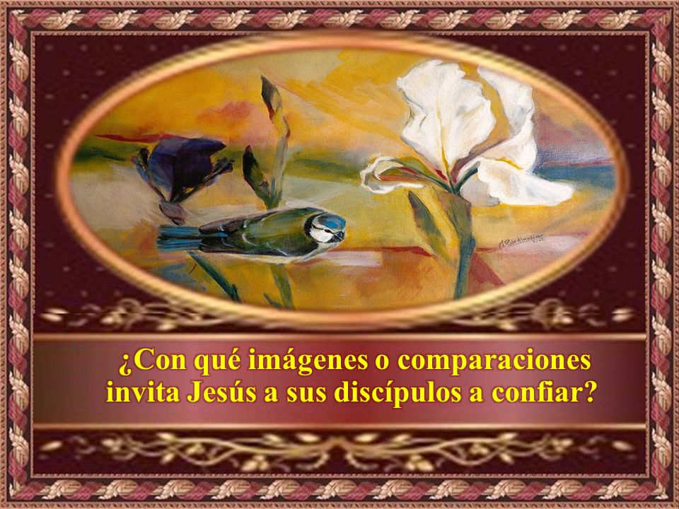 ¿Con qué imágenes o comparaciones invita Jesús a sus discípulos a confiar