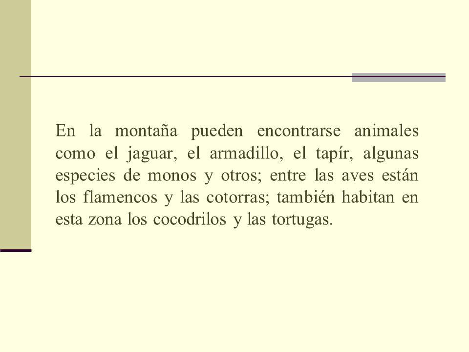 En la montaña pueden encontrarse animales como el jaguar, el armadillo, el tapír, algunas especies de monos y otros; entre las aves están los flamencos y las cotorras; también habitan en esta zona los cocodrilos y las tortugas.
