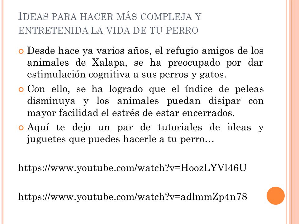Ideas para hacer más compleja y entretenida la vida de tu perro