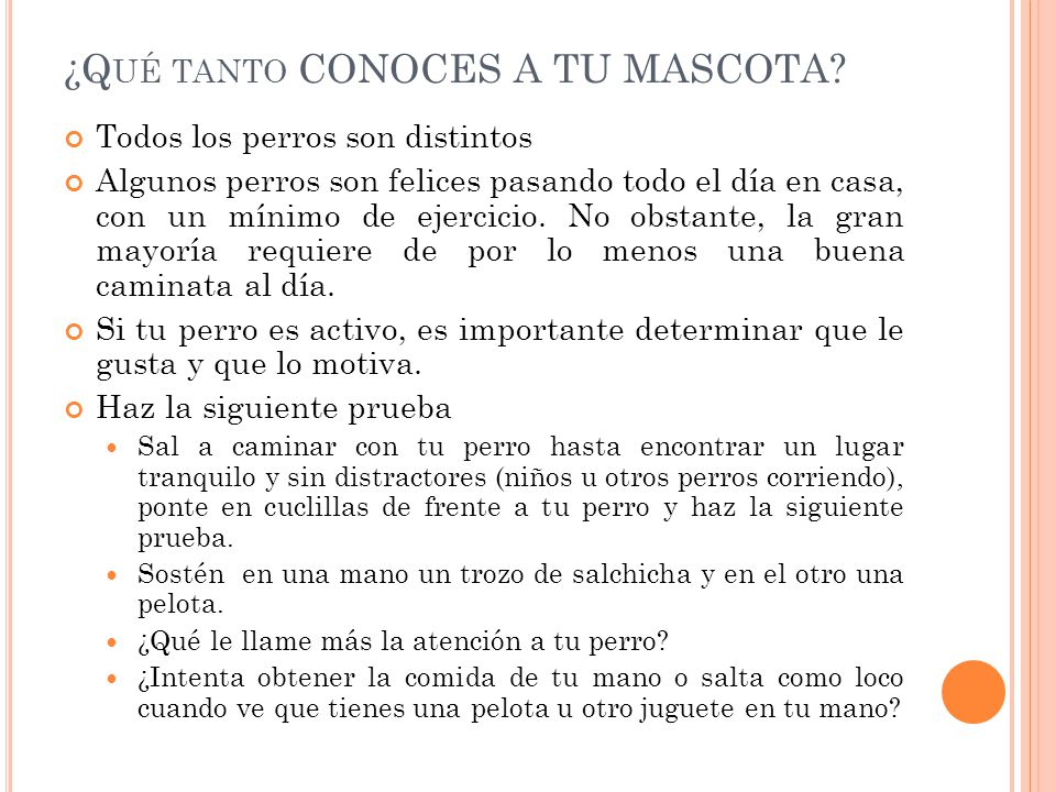 ¿Qué tanto CONOCES A TU MASCOTA