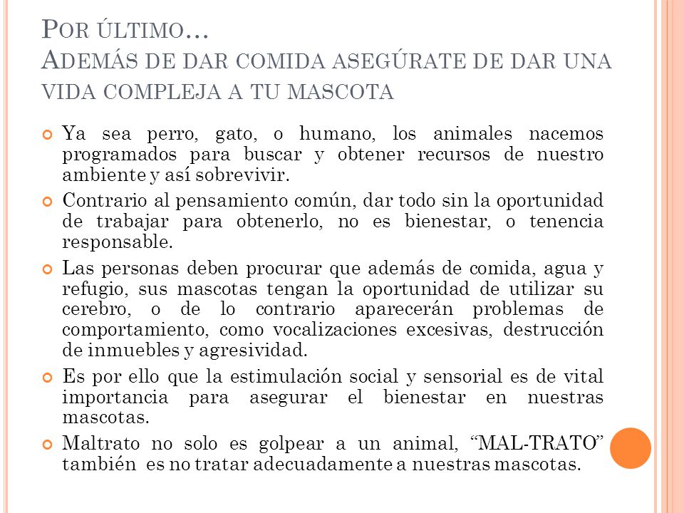 Por último… Además de dar comida asegúrate de dar una vida compleja a tu mascota