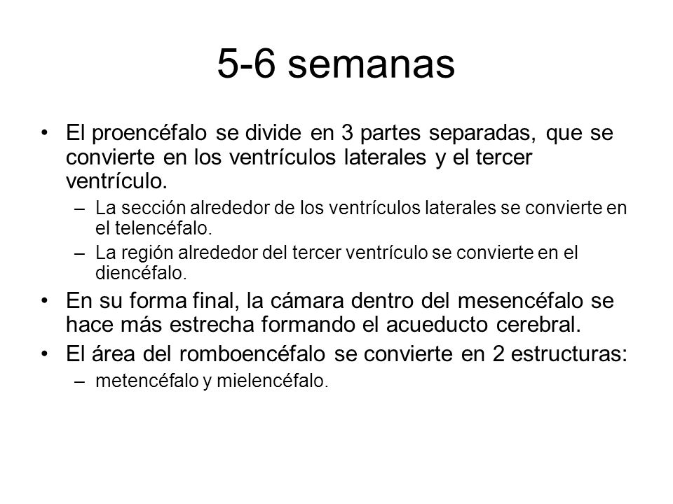 5-6 semanas El proencéfalo se divide en 3 partes separadas, que se convierte en los ventrículos laterales y el tercer ventrículo.