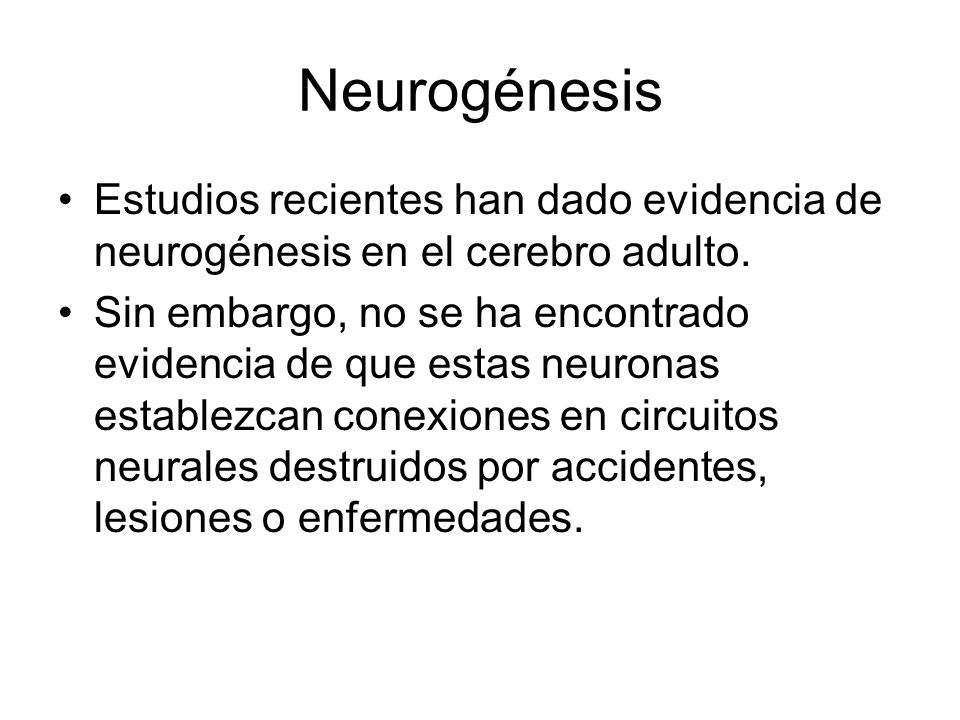 Neurogénesis Estudios recientes han dado evidencia de neurogénesis en el cerebro adulto.