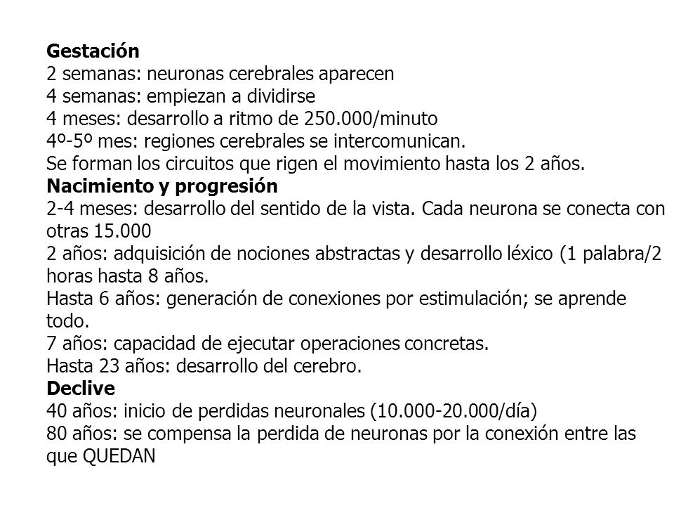 Gestación 2 semanas: neuronas cerebrales aparecen. 4 semanas: empiezan a dividirse. 4 meses: desarrollo a ritmo de /minuto.