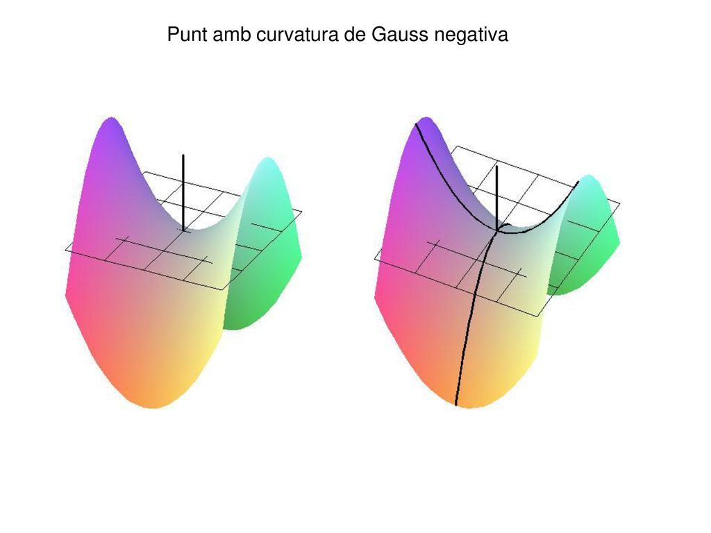 Punt amb curvatura de Gauss negativa