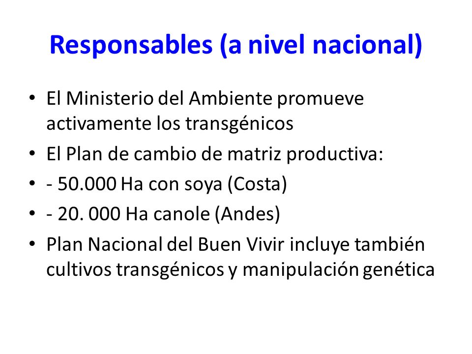 Responsables (a nivel nacional)