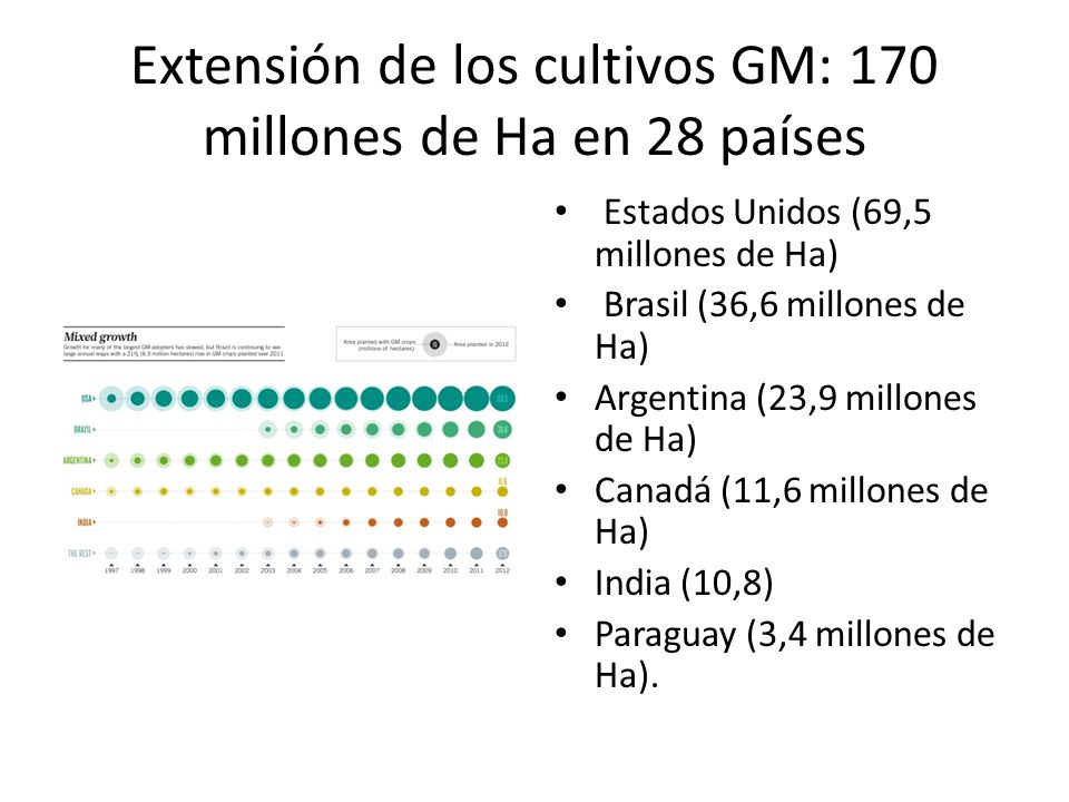 Extensión de los cultivos GM: 170 millones de Ha en 28 países