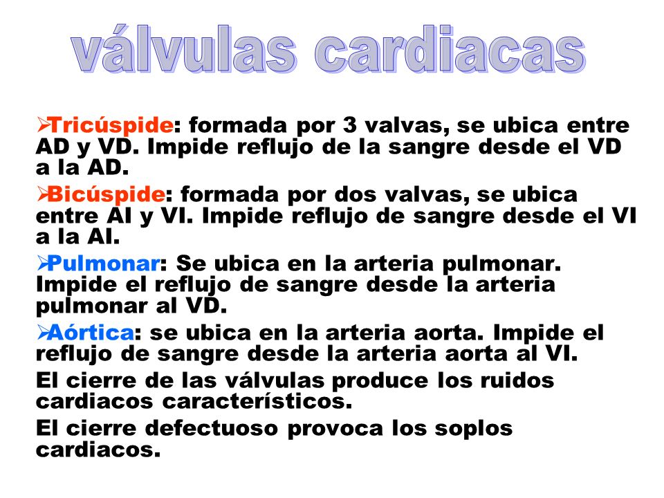 válvulas cardiacas Tricúspide: formada por 3 valvas, se ubica entre AD y VD. Impide reflujo de la sangre desde el VD a la AD.