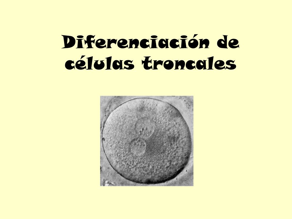 Diferenciación de células troncales