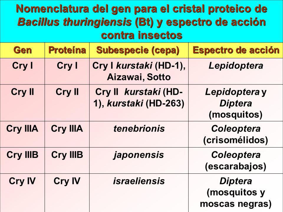 Nomenclatura del gen para el cristal proteico de Bacillus thuringiensis (Bt) y espectro de acción contra insectos
