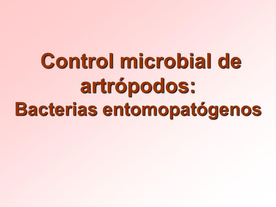 Control microbial de artrópodos: Bacterias entomopatógenos