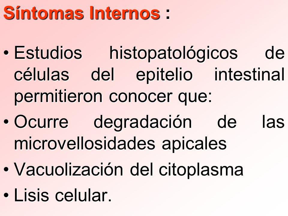 Síntomas Internos : Estudios histopatológicos de células del epitelio intestinal permitieron conocer que: