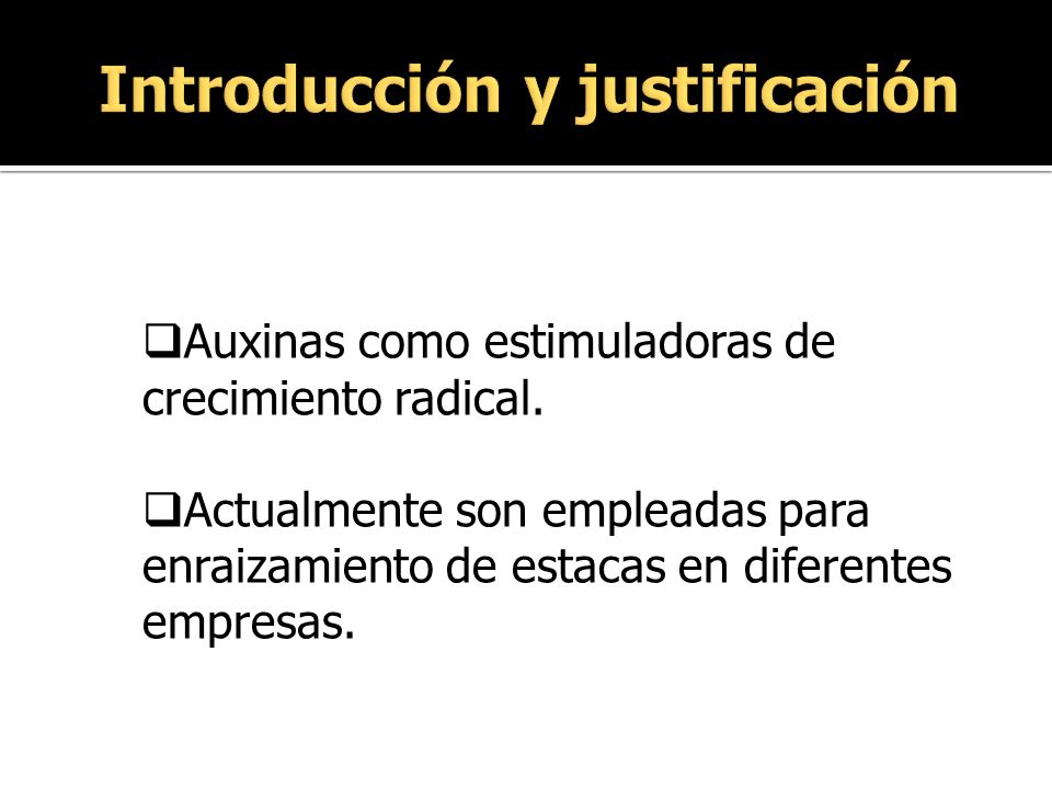 Introducción y justificación